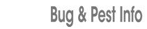 Bugs & Pests